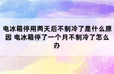 电冰箱停用两天后不制冷了是什么原因 电冰箱停了一个月不制冷了怎么办